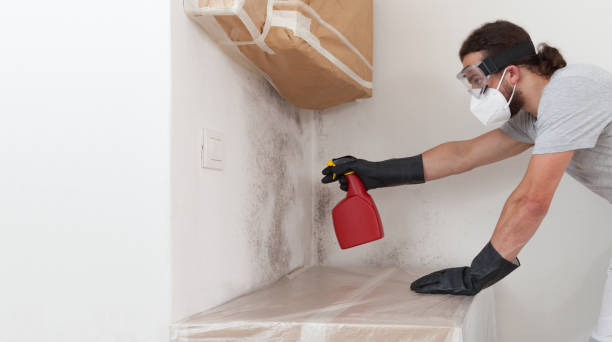 Professional Bathroom Mold Removal technician working in Glen Ellyn, IL