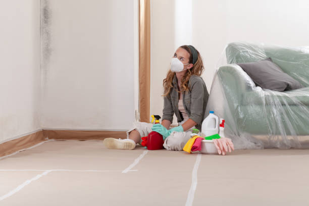 Reliable Bathroom Mold Removal contractor in Glen Ellyn, IL by Mold Remediation HQ